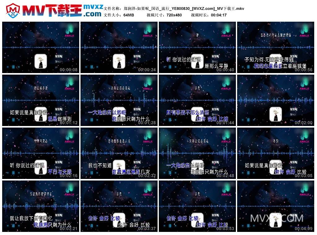 郑润泽-如果呢_国语_流行_YE800830